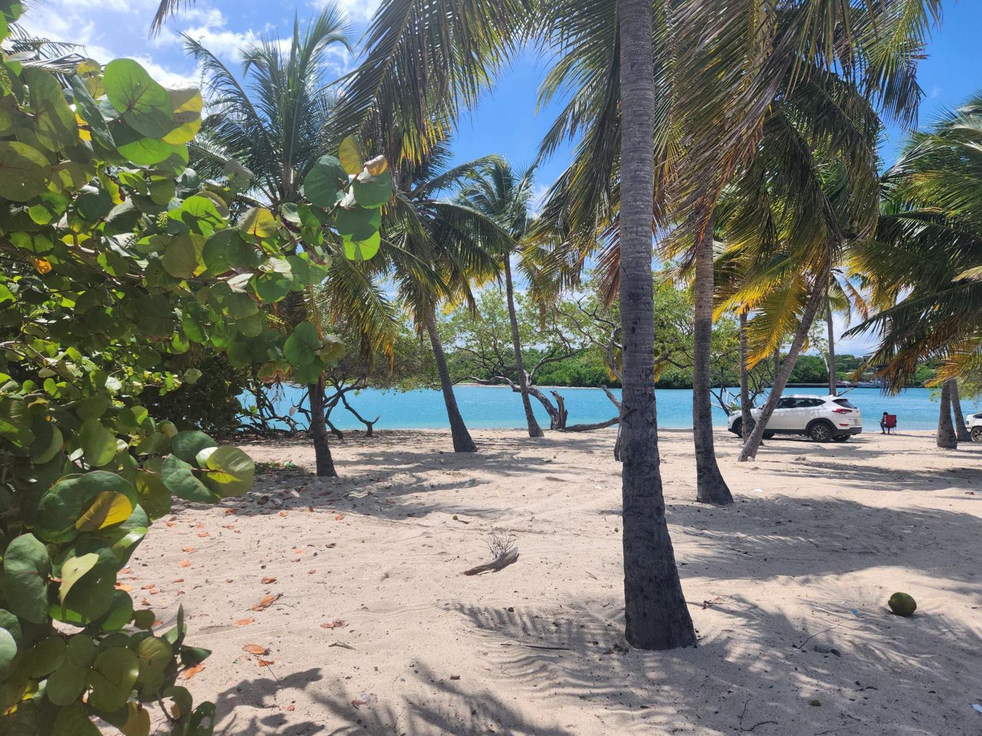 Casita Linda Larimar - 2Br Apartment With Rooftop, Bay Views, Fast Wifi, Near Beach In Barahona Eksteriør billede
